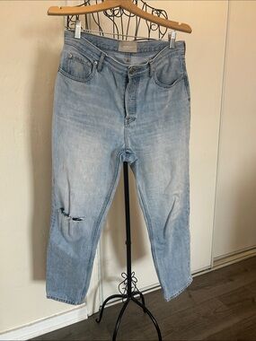 Everlane Light Blue High Rise Relaxed-Fit Jeans with Knee Rip Size 29